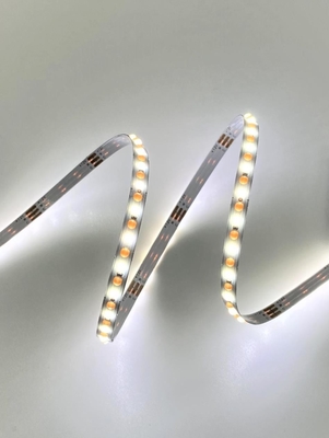 CAT নমনীয় ডট COB CCT LED স্ট্রিপ ডায়নামিক হোয়াইট DC 24V